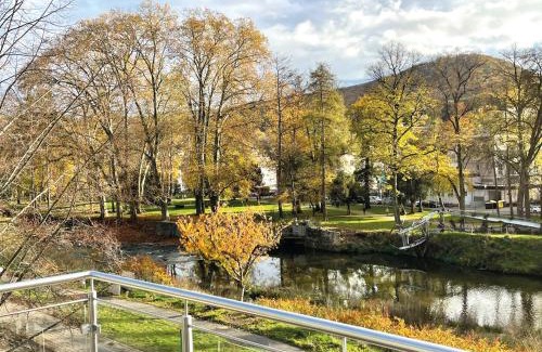 Bad Neuenahr-Ahrweiler Apartamento | Exklusive Wohnung mit Ahrblick 1 und Dachterrasse