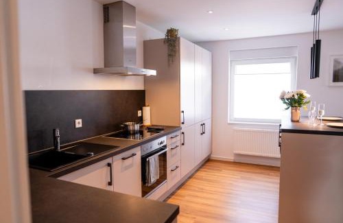 Tauberbischofsheim Apartamento | Exklusives Apartment in bester Lage in TBB