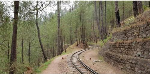 Dharampur Apartamento | Exotic Stays I Seven Time Kasauli ! BBQ & Bonfire And Family Events Allowed I Kasauli