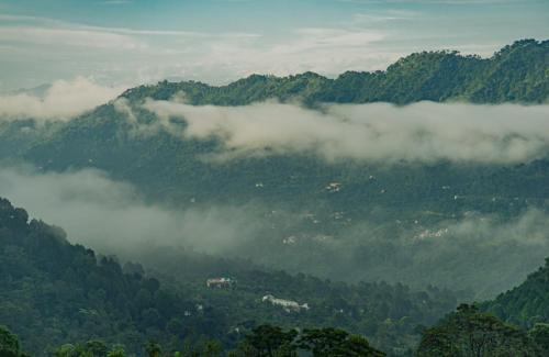 Dharampur Apartamento | Exotic Stays I The Classy Castle I Property of the year I Serviced Villa I Couple Friendly I Pvt Balcony I Open Air Terrace I Bonfire I Kasauli