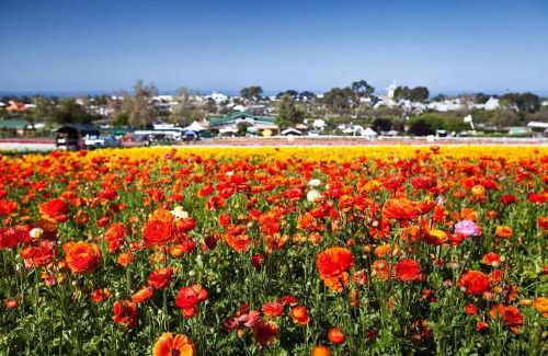 Carlsbad Apartamento | Expansive Ocean View, Private Balcony, Across from Beach