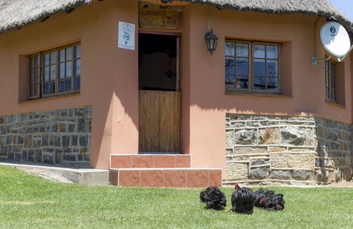 Umtshezi Cabaña | Experimenta la vida en una granja de trabajo real