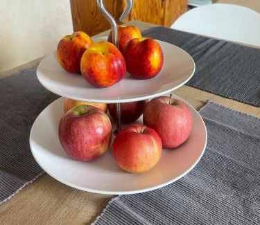 Hager Apartamento | Experience peace and quiet enjoy space