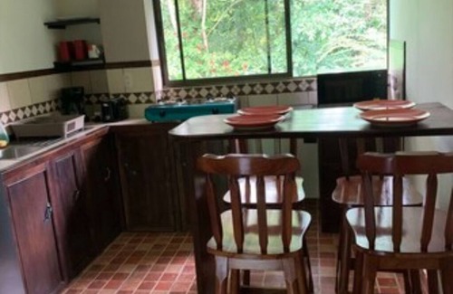 Penjamo Apartamento | Experience staying in a wildlife sanctuary inside the rainforest