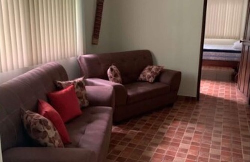 Penjamo Apartamento | Experience staying in a wildlife sanctuary inside the rainforest