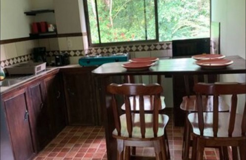 Penjamo Apartamento | Experience staying in a wildlife sanctuary inside the rainforest