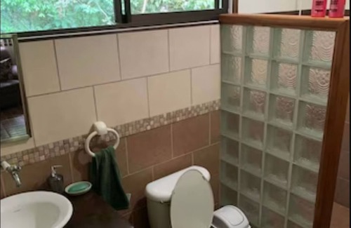 Penjamo Apartamento | Experience staying in a wildlife sanctuary inside the rainforest