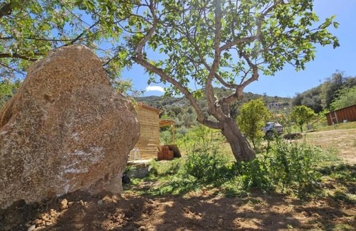 Cardedu Alquiler De RV | Experience the camping feeling in the studio apartment at PIUMA Campsite & more