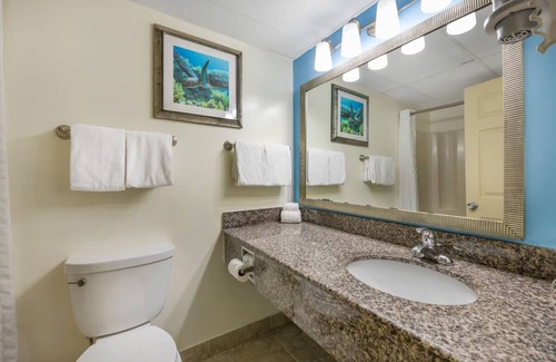 Seabreeze Park Hotel | Experience The Thrill From Your Modern Haven | Daytona Speedway & Theme Parks
