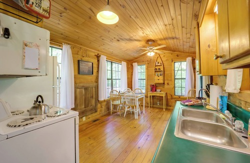 Vein Mountain Apartamento | Marion Cabin w/ Hot Tub, On-Site Nature Trails!