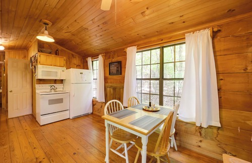 Vein Mountain Apartamento | Marion Cabin w/ Hot Tub, On-Site Nature Trails!
