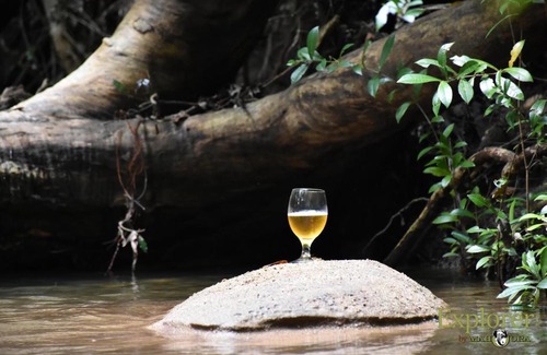 Wilgamuwa Hotel | Explorer by Eco Team - Wasgamuwa National Park