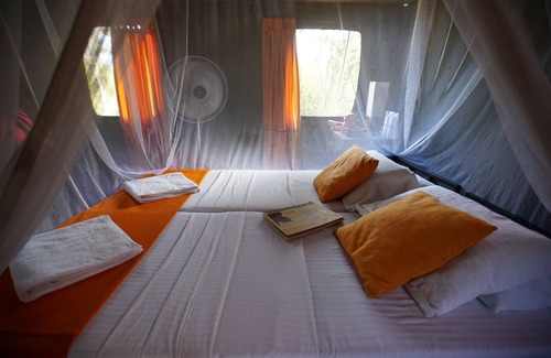 Wilgamuwa Otro | Explorer by Eco Team - Wasgamuwa National Park