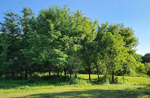 Youngstown Alquiler De RV | Exploring Limits Wilderness Retreat