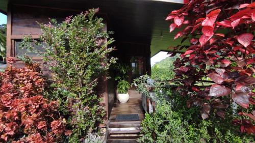 Rio Nuevo Cabina | EYA Ecolodge