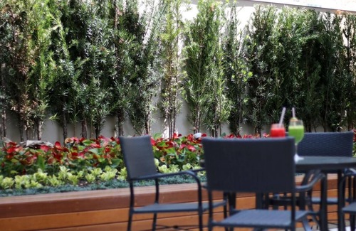 Sao Paulo Casa | Ez Acclimation Hotelll