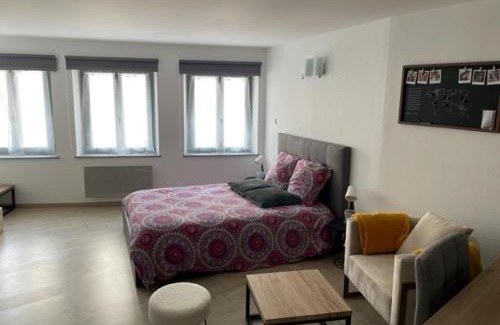 Luxeuil-les-Bains Apartamento | F1 Centre Historique Saint Valbert