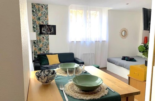 Mulhouse Apartamento | F1 tout équipé proche Tram - Jungle