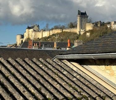 Chinon Apartamento | F2 centre-ville avec vue sur la forteresse