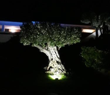 Ventiseri Apartamento | f3 vue mer et montagne
