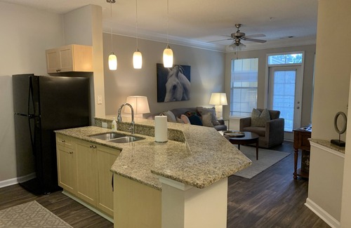 Alpharetta Casa | Fabulous One Bed/One Bath Corporate Furnished Apt in Alpharetta