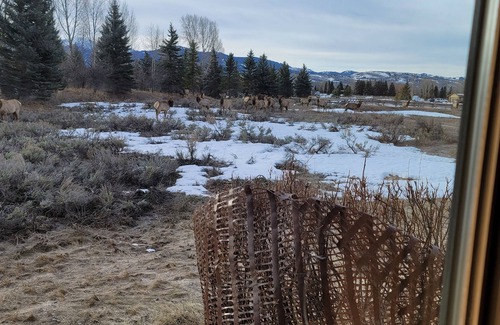 Jackson Hole Casa | Fabulous Thanksgiving in Jackson! Minutes from downtown and Snow King.