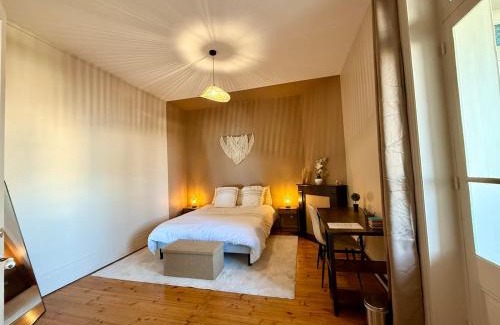 Roanne Apartamento | Face gare - Appart Haussmannien