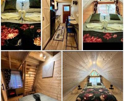 Bakonybel Apartamento | Faház a fenyők alatt - Borostyánkút Wellness Home II Bakonybél
