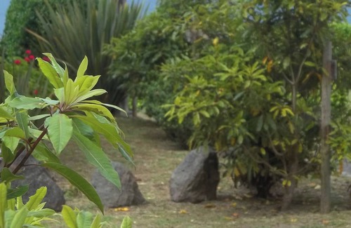 Horta Casa | Faial Cottage, Azores - Cozy Local Stay with Private Patio