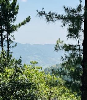 Nathia Gali Apartamento | Faimly cottages
