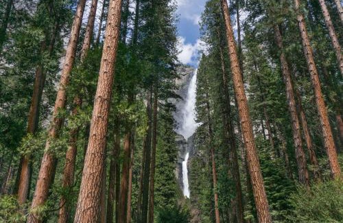 Oakhurst Hotel | Fairfield Inn & Suites by Marriott Oakhurst Yosemite