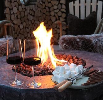 Falkau Apartamento | Falkaunest cozy Apartment mit Sauna am Feldberg