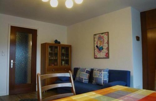 Tiefenbach Apartamento | Falkenhorst-Wohnung-40