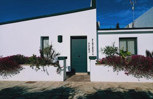 Conil de la Frontera Chalet De Esquí | Falsa Pimienta - Sólo Familias y Parejas