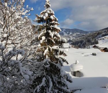 Hinterglemm Hotel | Familien- & Gartenhotel Theresia 4-Sterne Superior