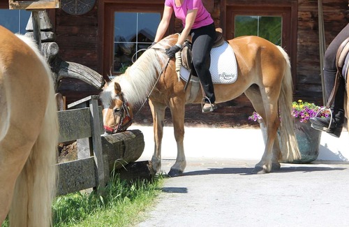 Muhlthal Casa | Familienkombi »abendsonne« Shortstay - Hotel Haflingerhof