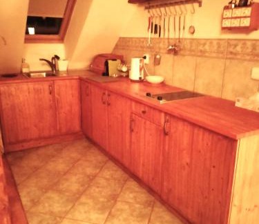 Nova Ves u Noveho Mesta na Morave Apartamento | Family apartment Vysočina BIKE plus FUN