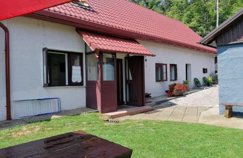 Lic Apartamento | Family-friendly apartments with swimming pool Lic, Gorski kotar - 23685