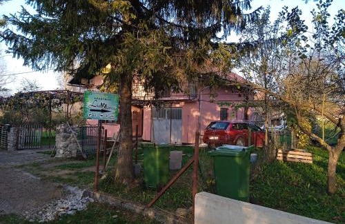 Plaski Apartamento | Family-friendly apartments with swimming pool Plaski, Velebit - 20466