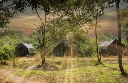 Tissamaharama Alquiler De RV | Family Glamping Bordering Yala National Park