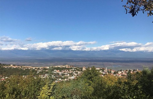 Sighnaghi Casa | Family Hotel In Nukriani , 2km from Sighnaghi