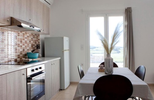 Naxos Casa | Family-size House in the fields of Naxos 2B/R Queen, 2TV, 2WC