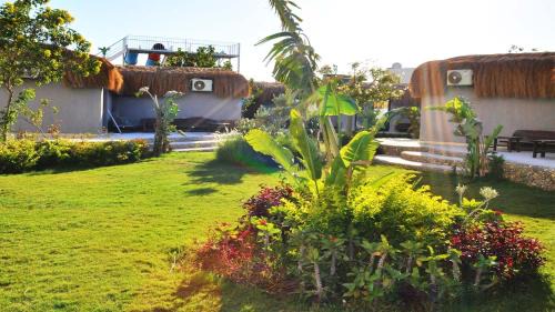 Al Ahyaa Hotel | Fanadir Bay - beach & Aquapark- Apartments Hotel
