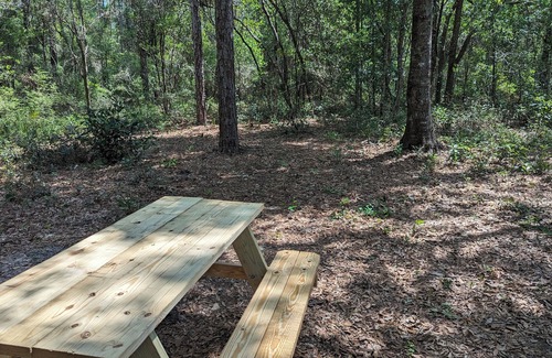 Chiefland Alquiler De RV | Fanning and Manatee Springs Exclusive Primitive Campground