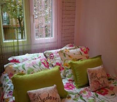 Valladolid Apartamento | FANTÁSTICO PISO ARCO IRIS Junto Casco Histórico