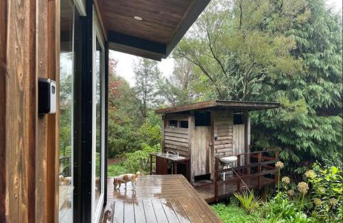Takaka Casa | Fantail’s Nest in the forest