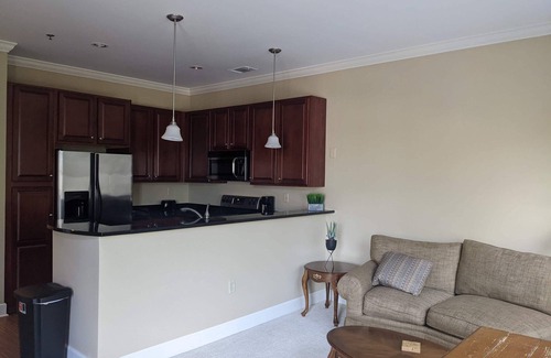 Spartanburg Condominio | Fantastic 1.5BR/1BA Condo Downtown Spartanburg, SC