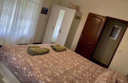Alcobaca Casa | Fantastic house swimmingpool jacuzzi horses