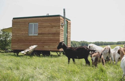 Selpin Complejo | Farm Cabin im Grünen