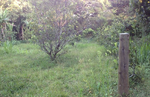 Concepción Alquiler De RV | farm in heredia with tons of forest and great hikes